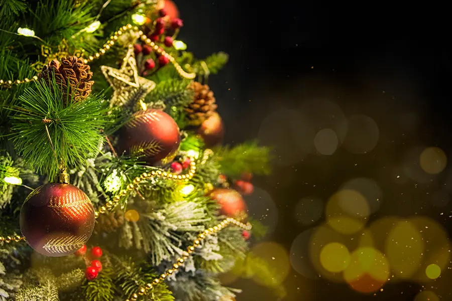 close up of christmas tree