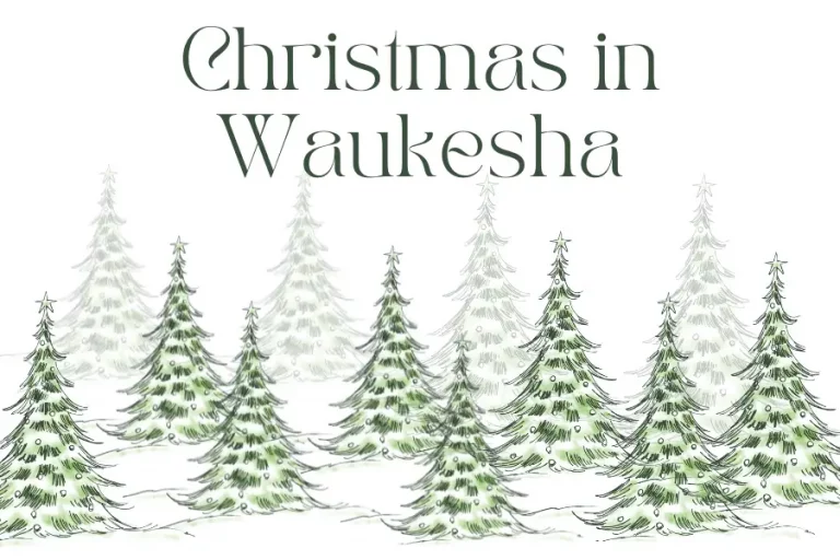 Christmas in Waukesha
