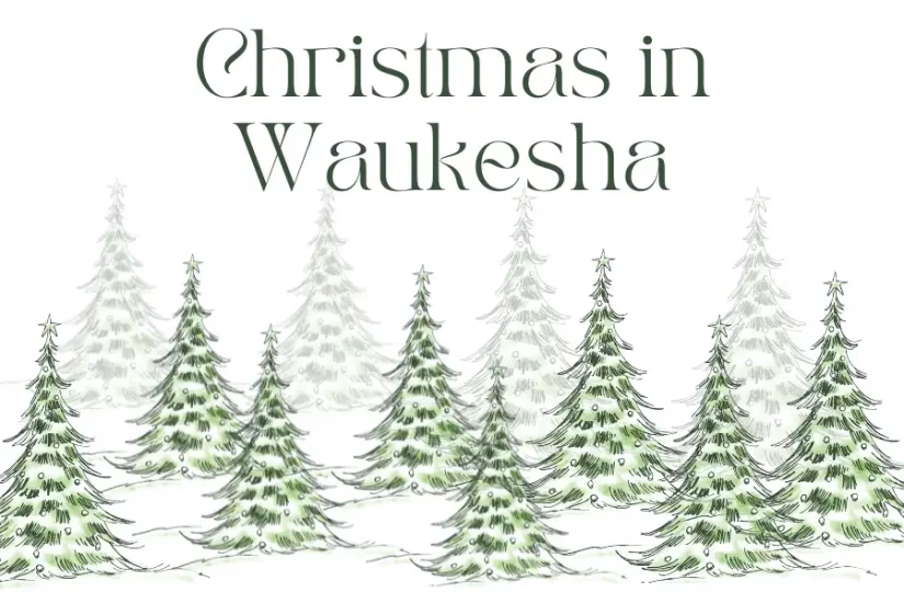 Christmas in Waukesha